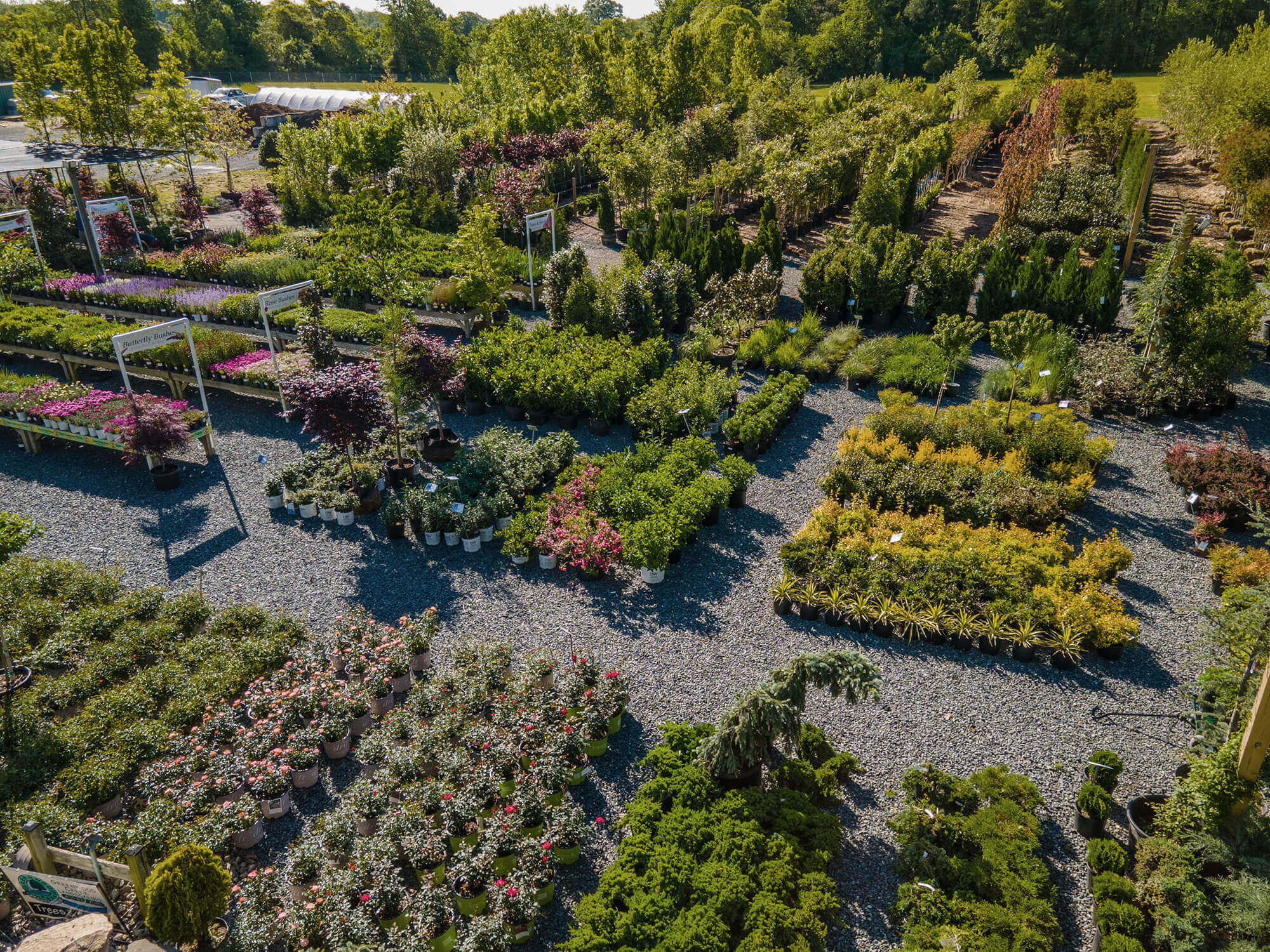 Grow Your Own Private Oasis